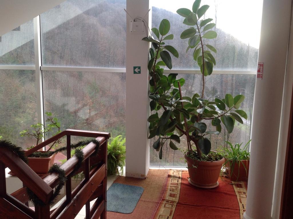 Hotel Panoramic Moneasa Room photo
